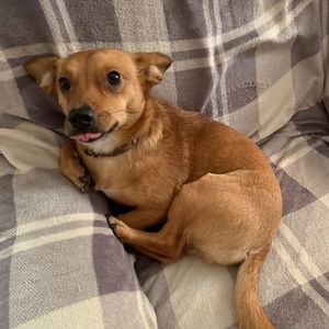 Meet your Posher, Jerry